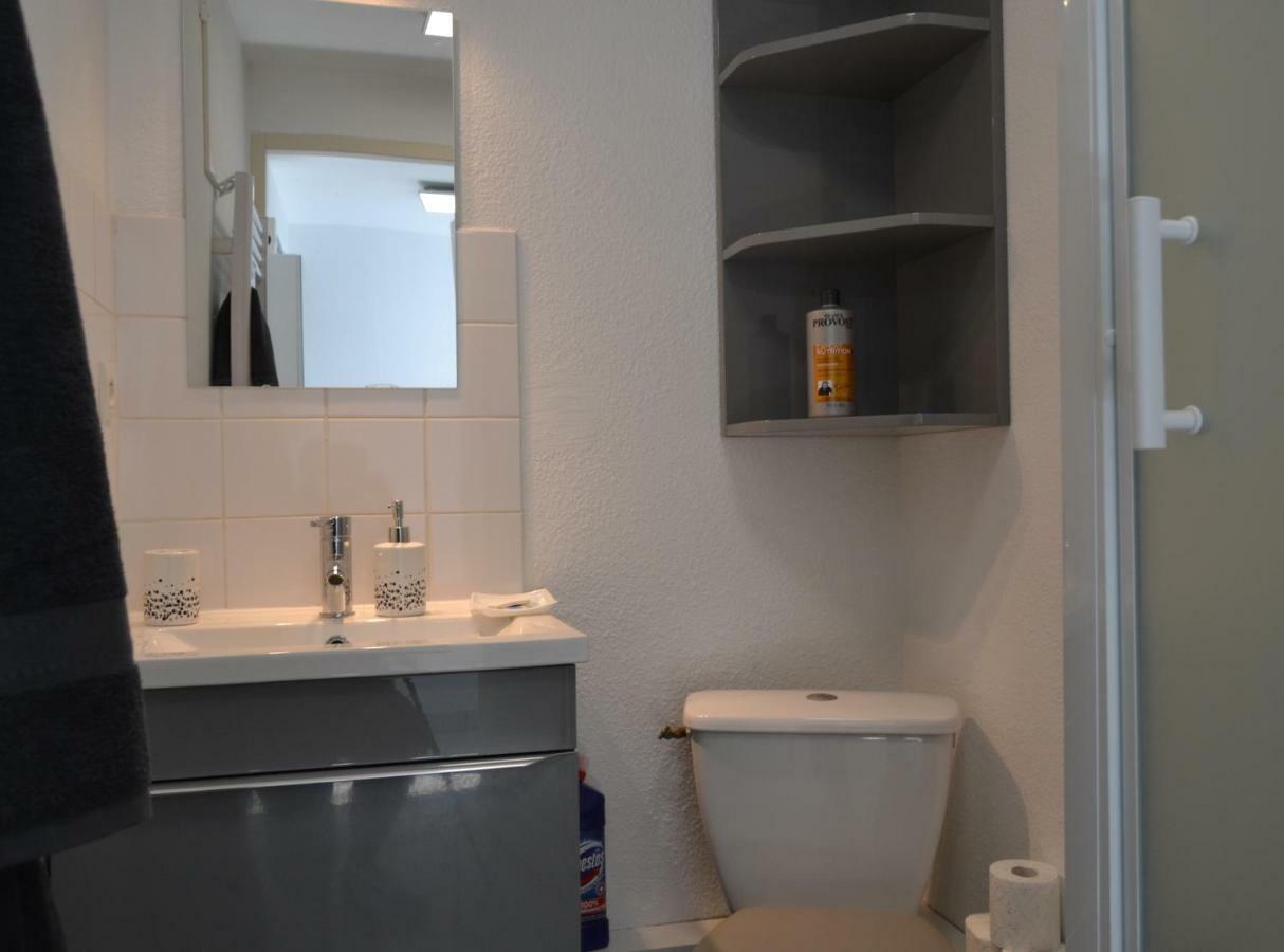 Le Petit Studieux - Parking - Animaux Acceptes - Centre Ville Accessible A Pied Albi Exterior foto