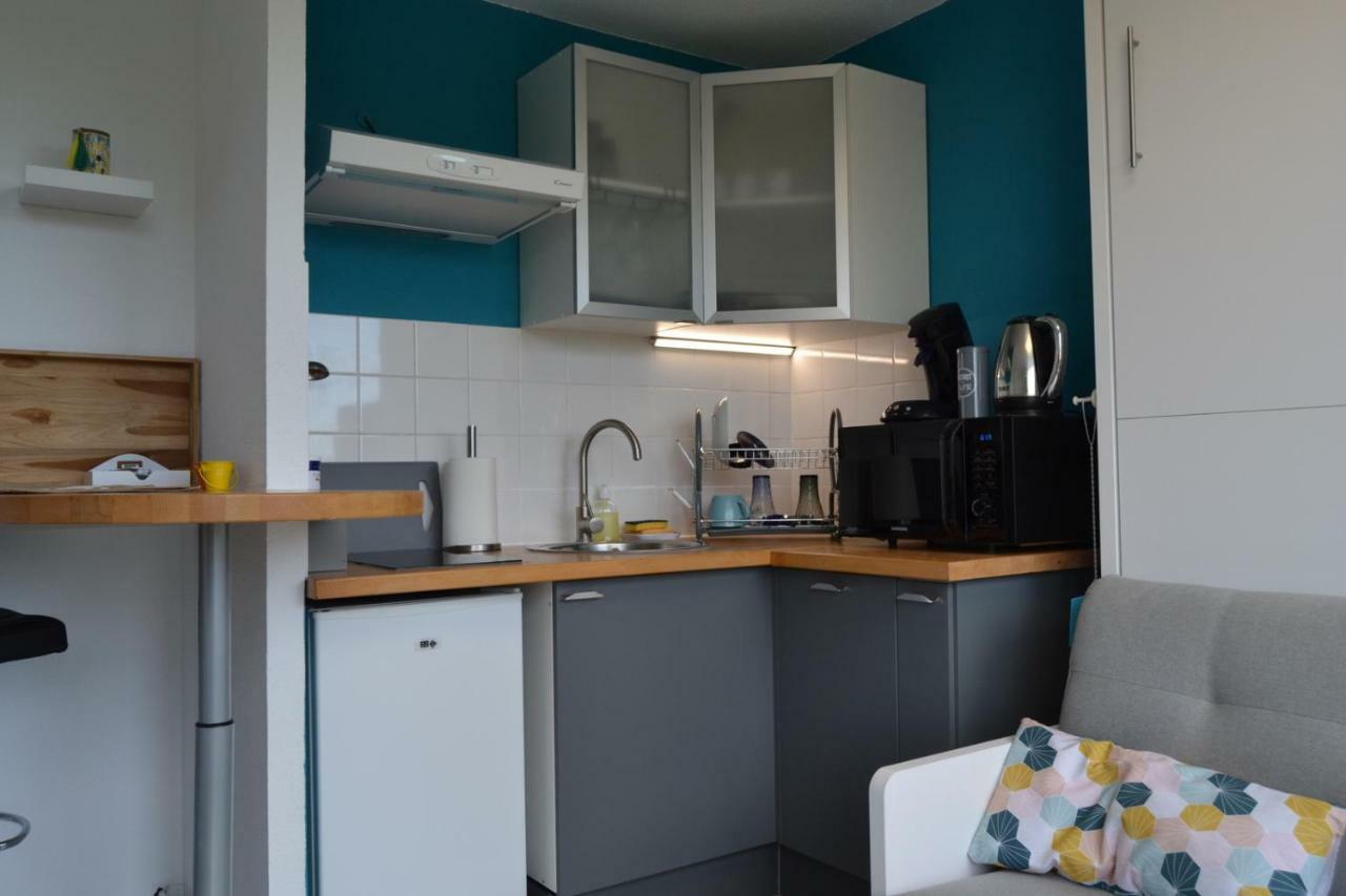 Le Petit Studieux - Parking - Animaux Acceptes - Centre Ville Accessible A Pied Albi Exterior foto