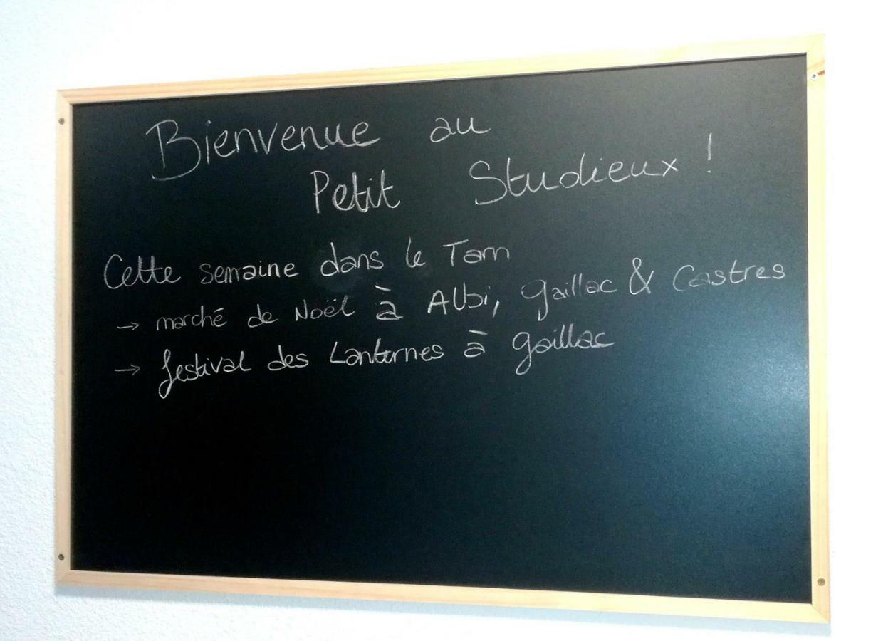 Le Petit Studieux - Parking - Animaux Acceptes - Centre Ville Accessible A Pied Albi Exterior foto